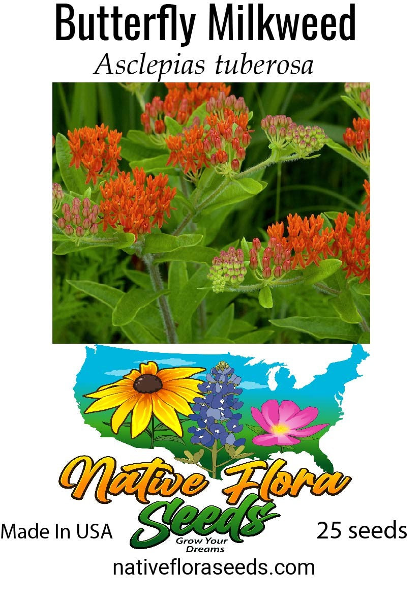 Plant Milkweed in the Fall