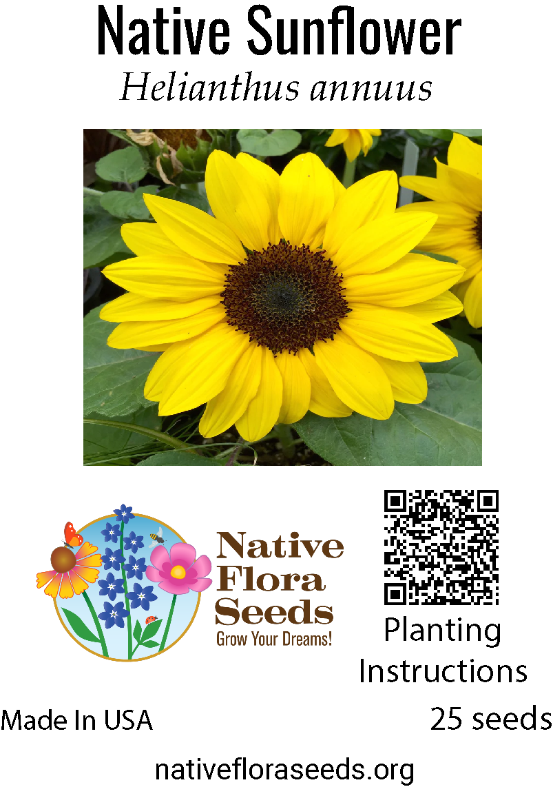 are flower seeds good for you Native Sunflower Seeds