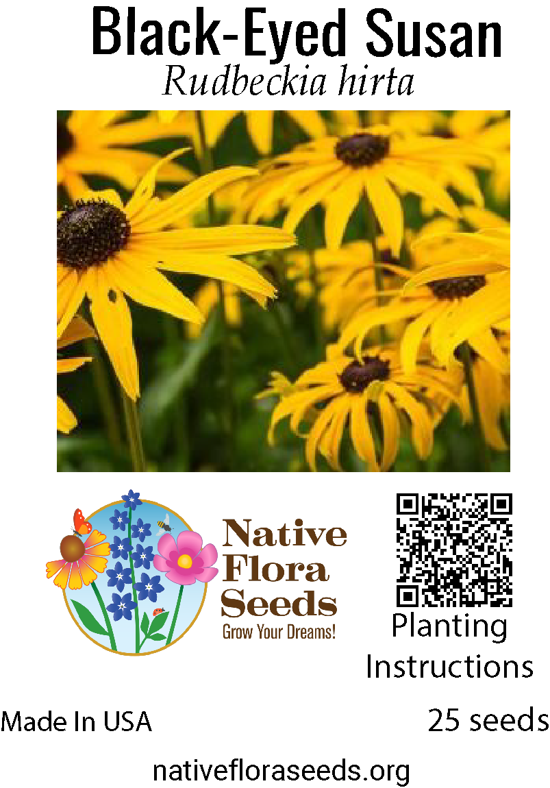 black eyed susan flower seeds Cornucopia Black-Eyed Susan Native Wildflowers