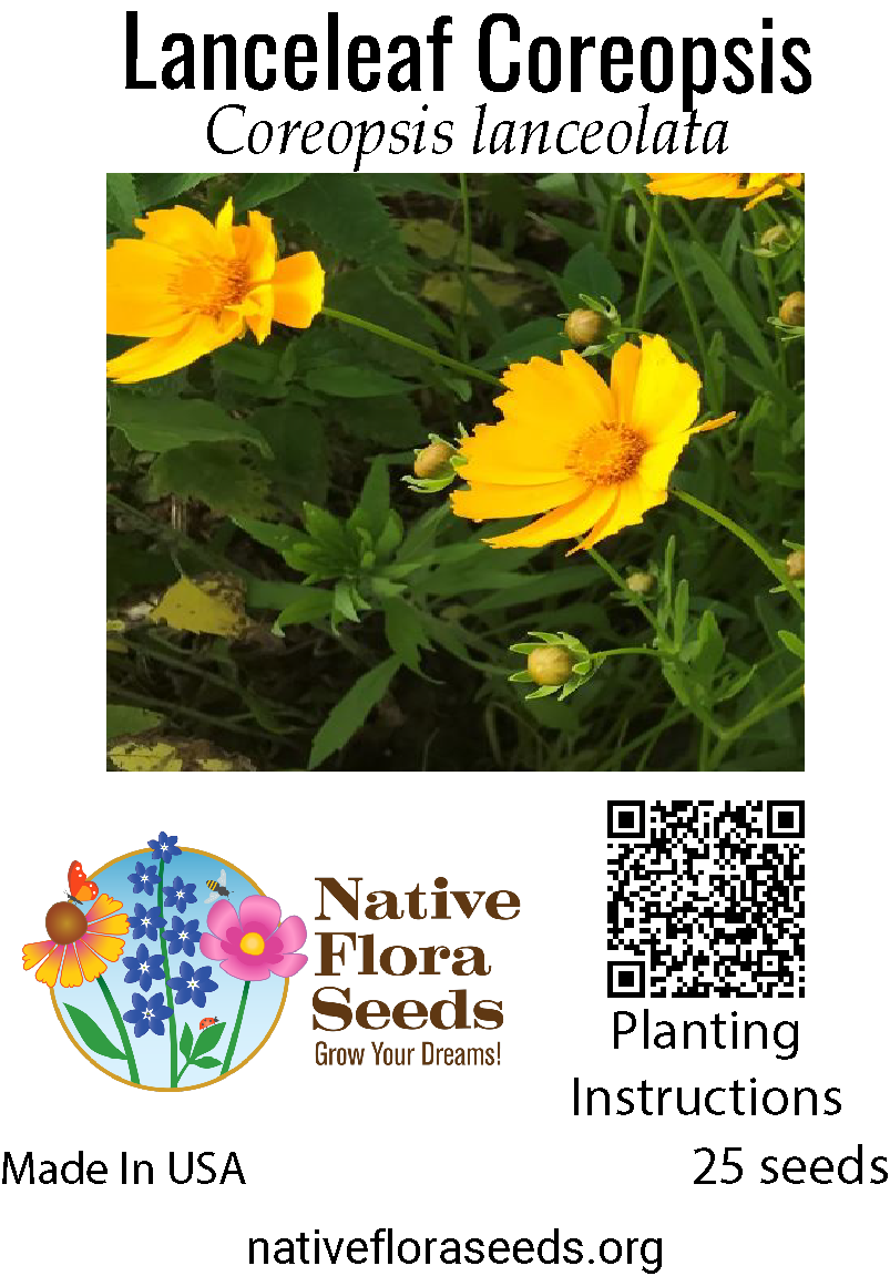plant coreopsis seeds Lanceleaf Coreopsis Seeds