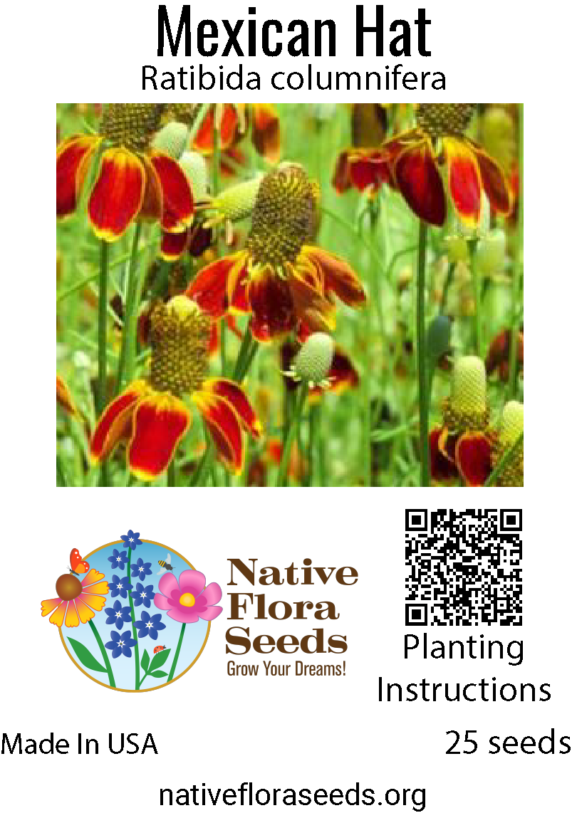 premium wildflower seeds Mexican Hat Seeds - Unique Prairie Wildflower