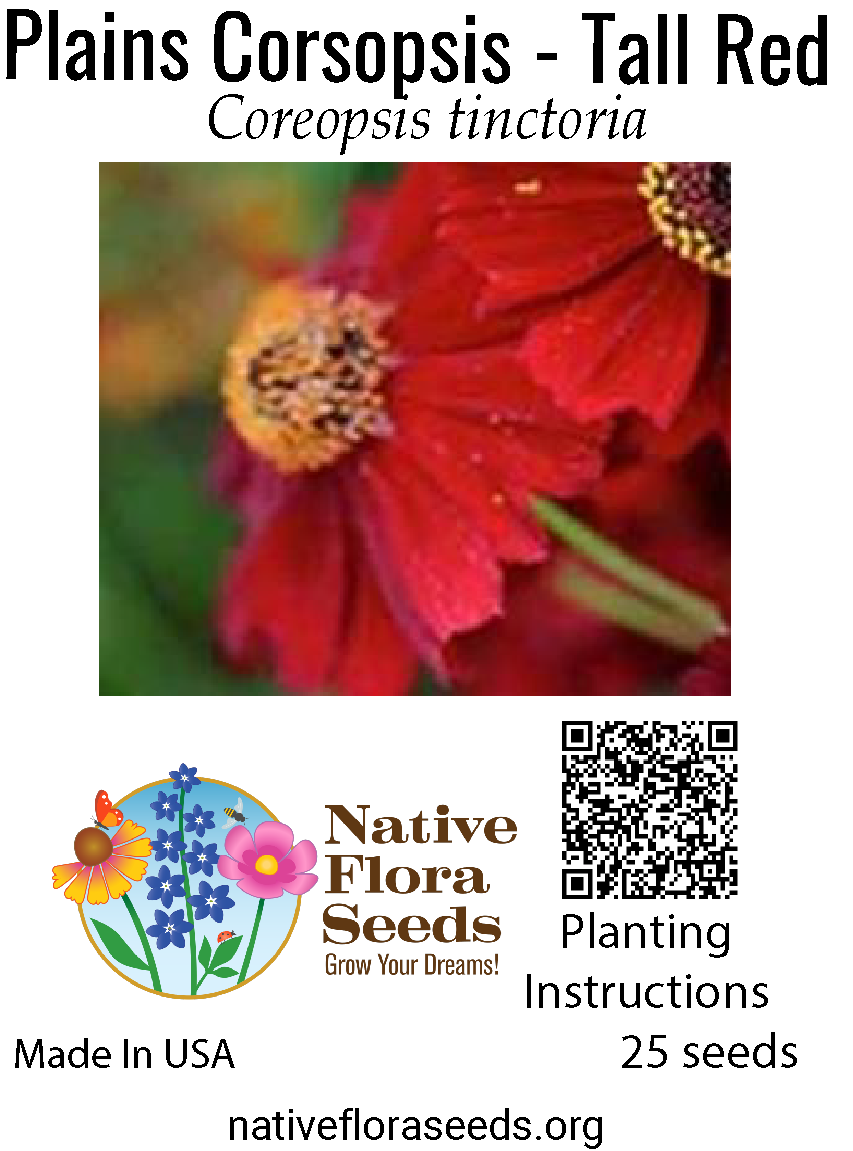 red wildflower seeds Plains Coreopsis Tall Red Seeds - Native Coreopsis tinctoria
