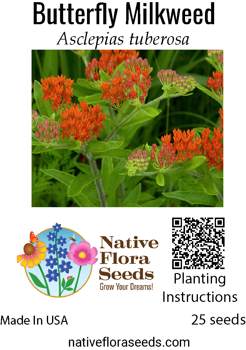 butterfly plant seeds Butterfly Milkweed Seeds - Native Orange Wildflower