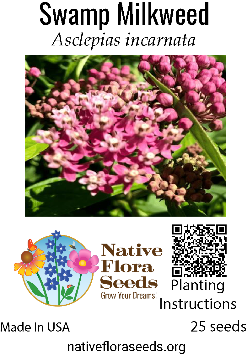 butterfly plant seeds Swamp Milkweed Seeds | Native Monarch Butterfly Plant