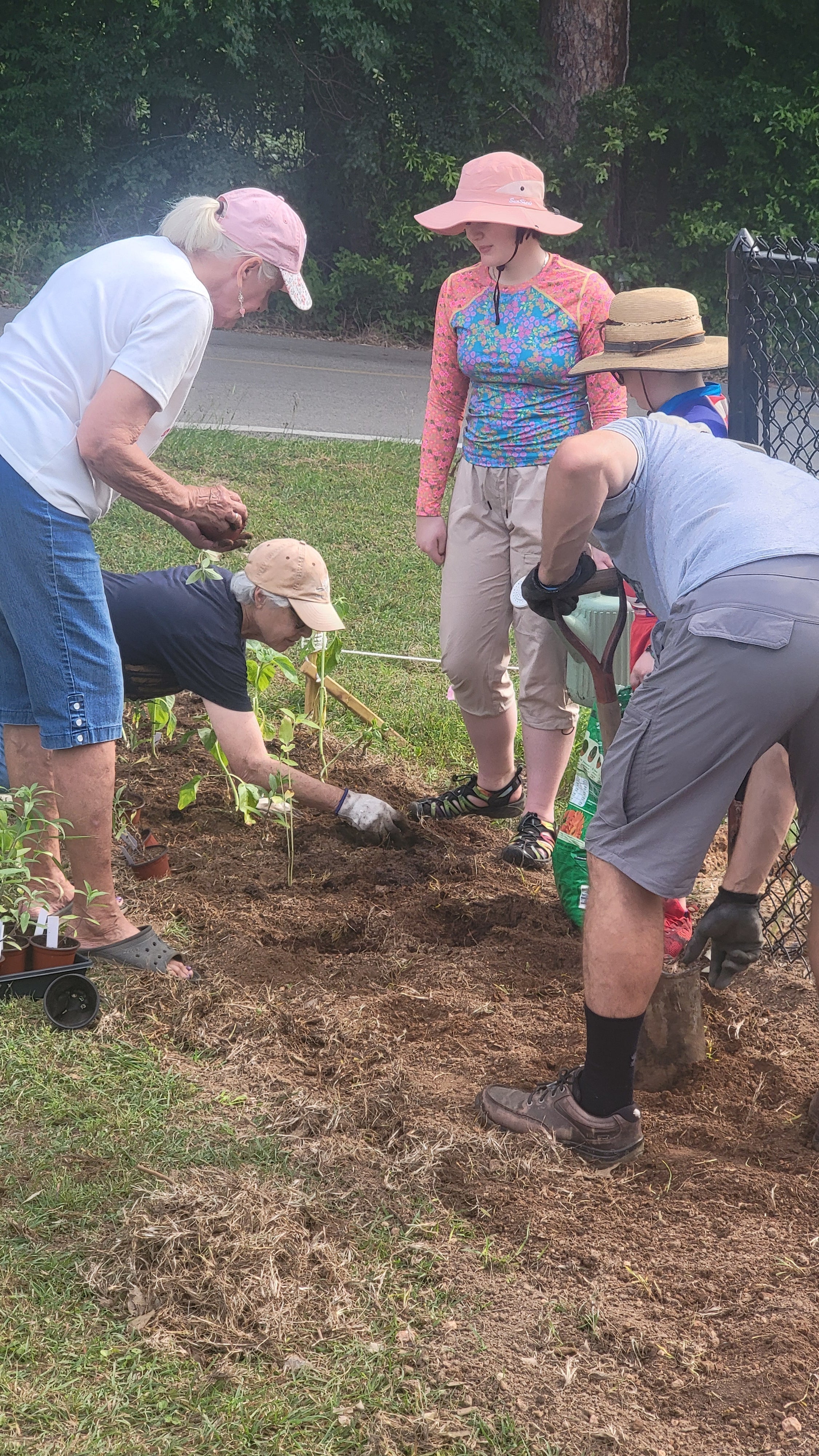 Group planting native plants outdoors in garden bed with garden tools and potted seedlings