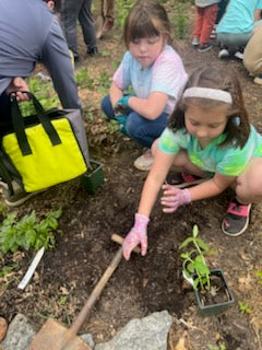 Where Your Donation Actually Goes: Inside the Seed In The Ground Program
