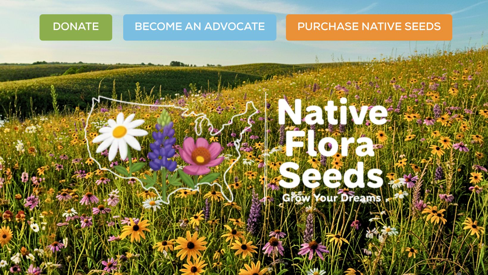 2026 Native Plants Trend: Save Pollinators with NativeFloraSeeds.org Seed