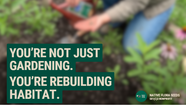 Your August Native Garden Checklist: What to Do, What to Skip, What to Order