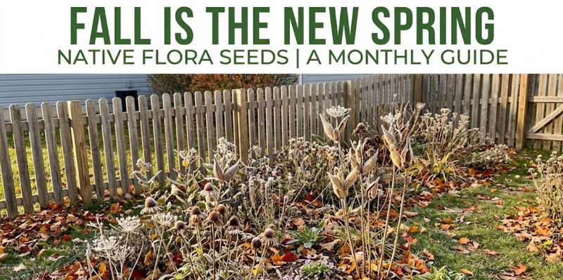 Fall Is the New Spring: Why Autumn Is the Best Time to Plant Native Seeds