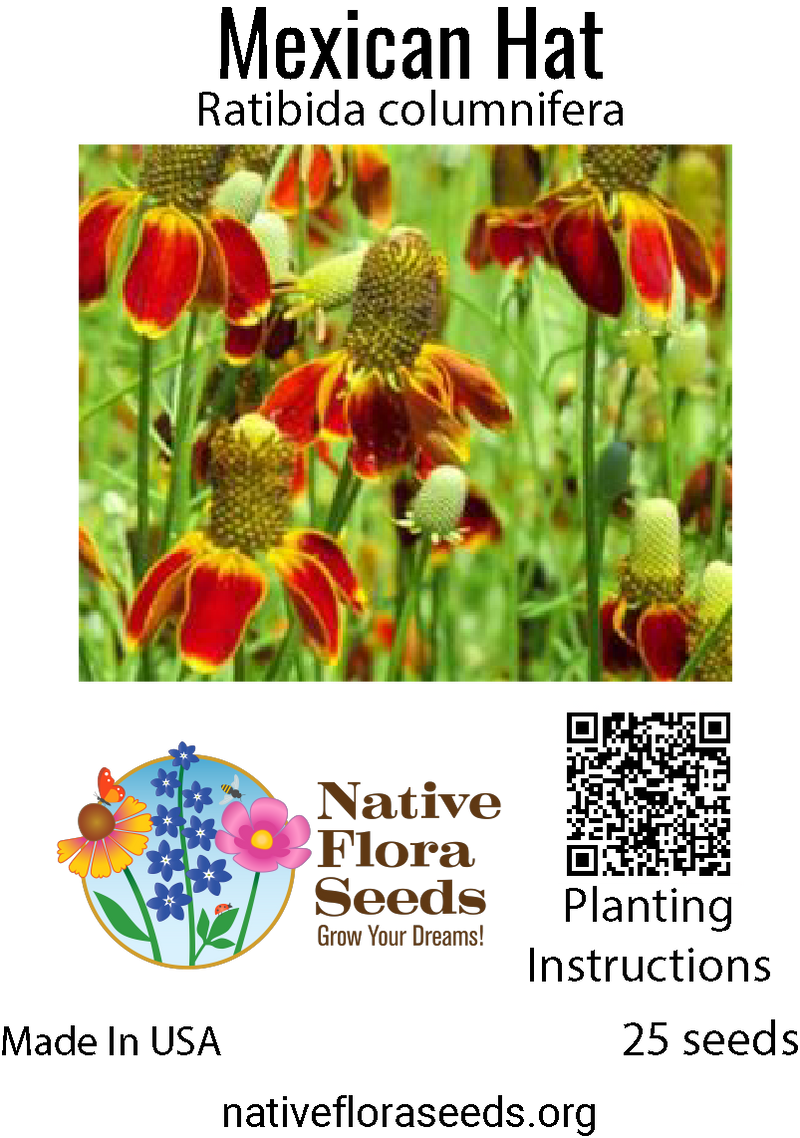 Should You Plant Wildflower Seeds in Fall or Spring?
