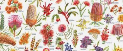 Types of Native Plants