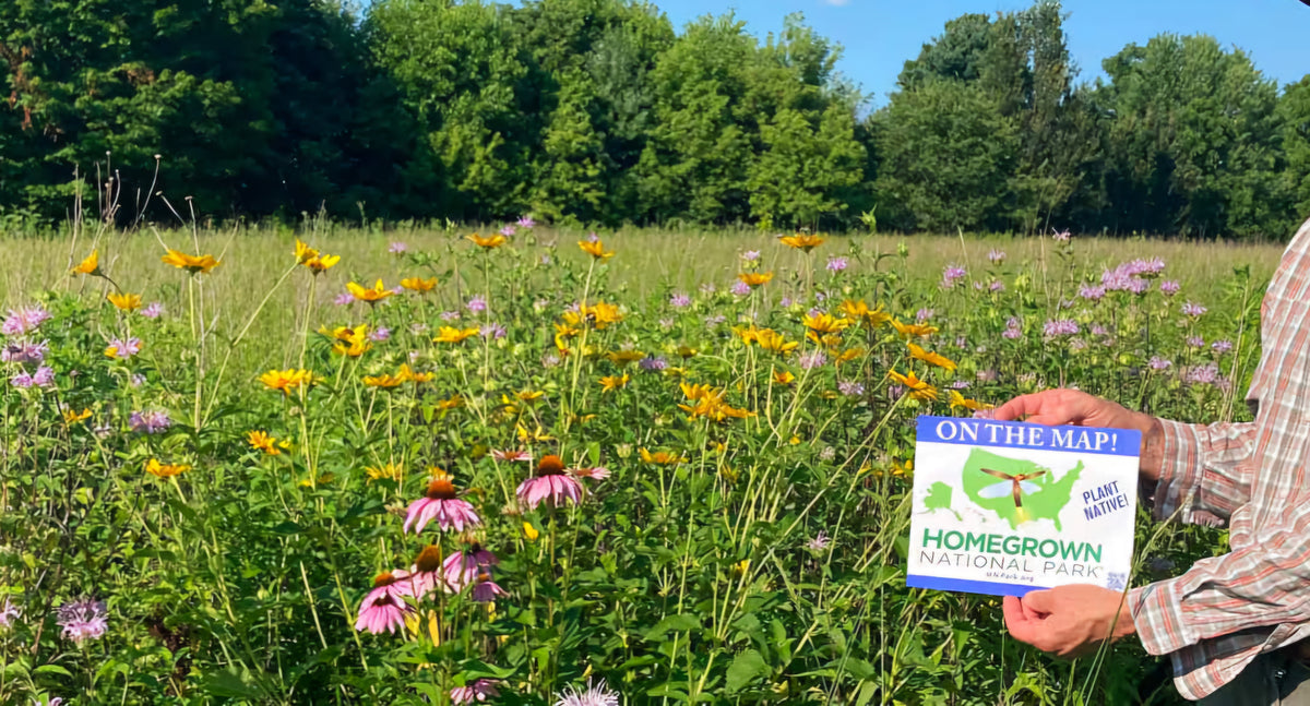 A person in a plaid shirt stands in a wildflower meadow holding a printed sign that reads "ON THE MAP! HOMEGROWN NATIONAL PARK". Trees and blue sky are visible in the background.