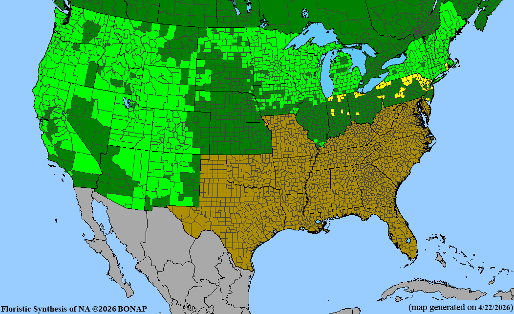 BONAP native range map for Actaea rubra