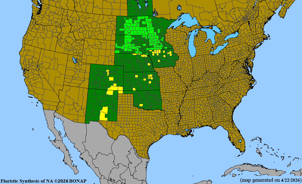 BONAP native range map for Amorpha nana