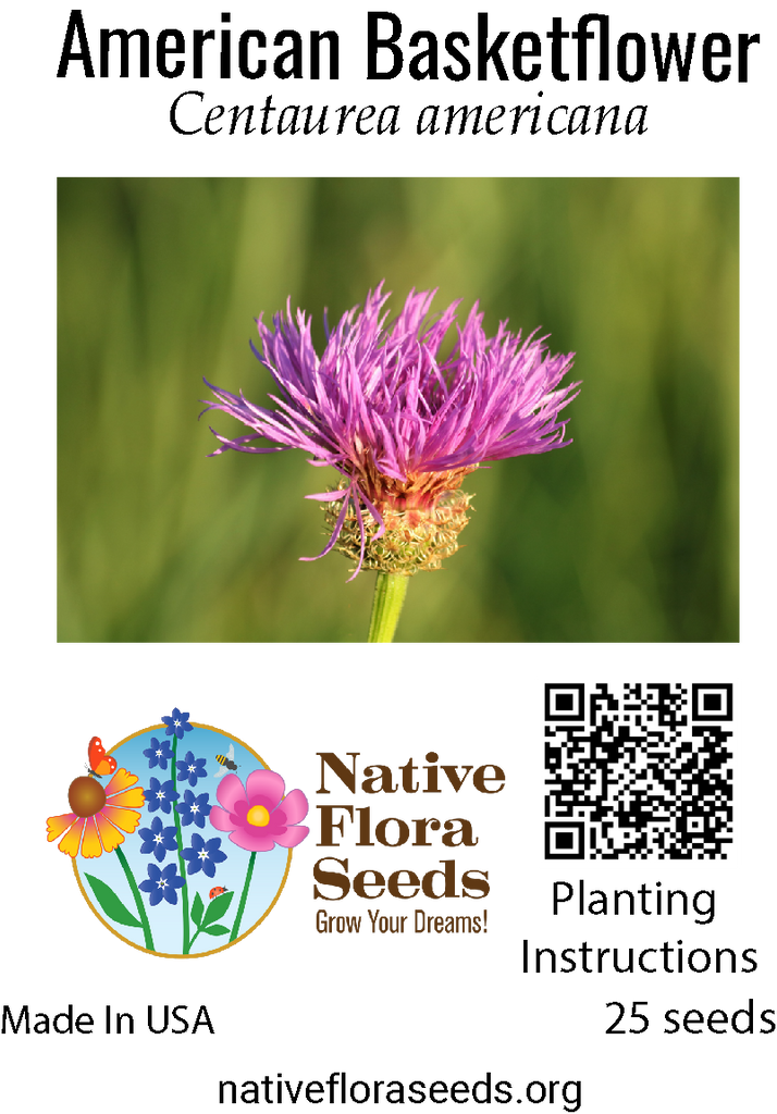 American Basketflower Seeds - Native Wildflower