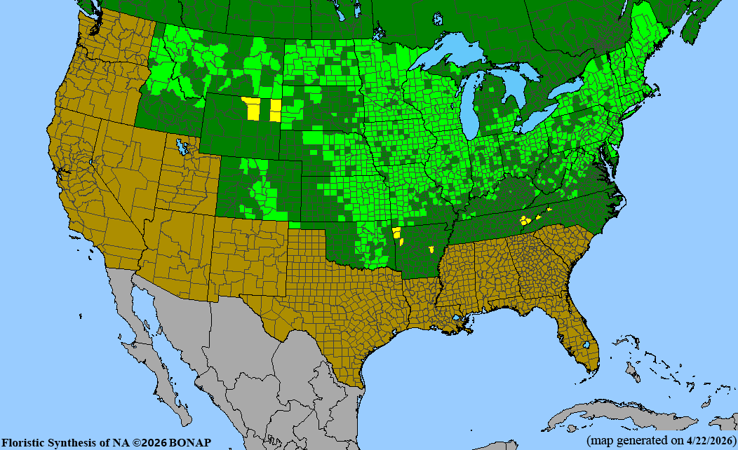 BONAP native range map for Antennaria neglecta