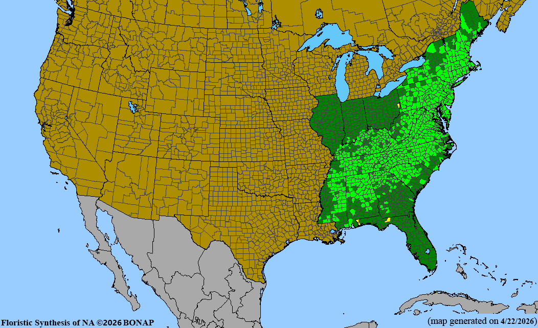 BONAP native range map for Antennaria plantaginifolia