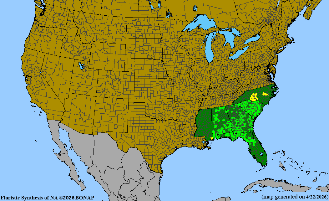 BONAP native range map for Baptisia alba