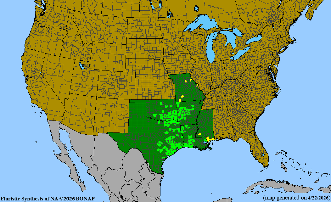 BONAP native range map for Baptisia sphaerocarpa