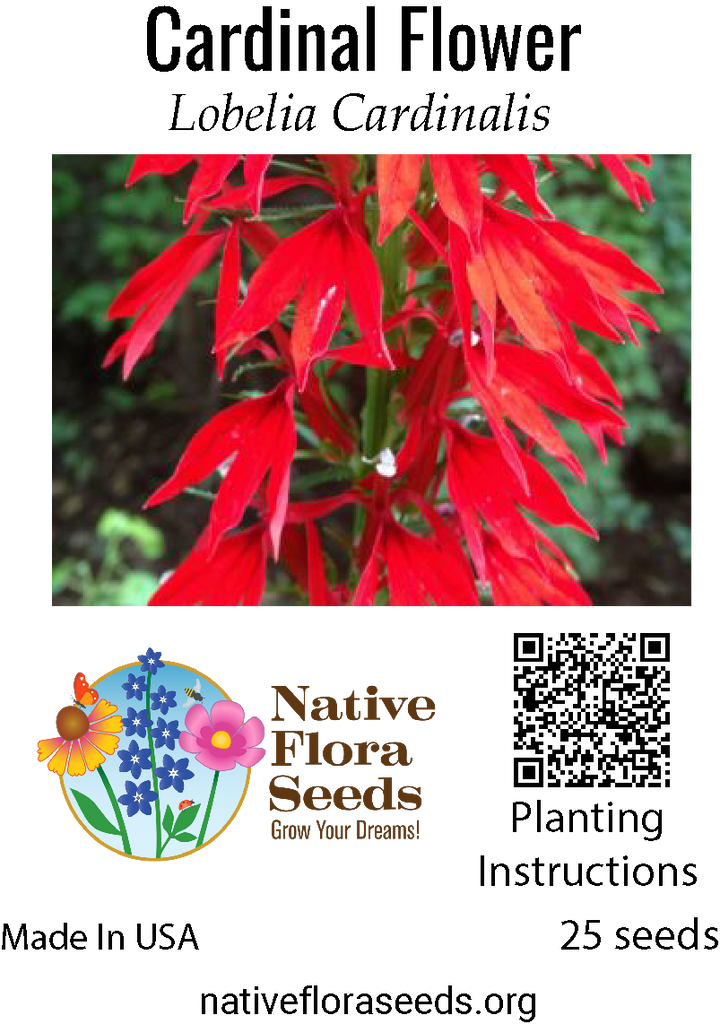 blue cardinal flower seeds Cardinal Flower Seeds - Hummingbird Magnet
