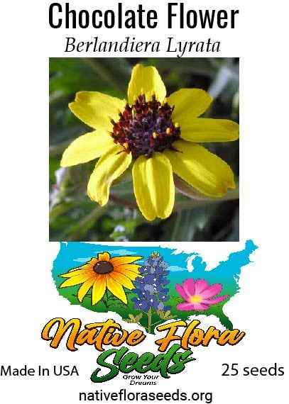 Chocolate Flower