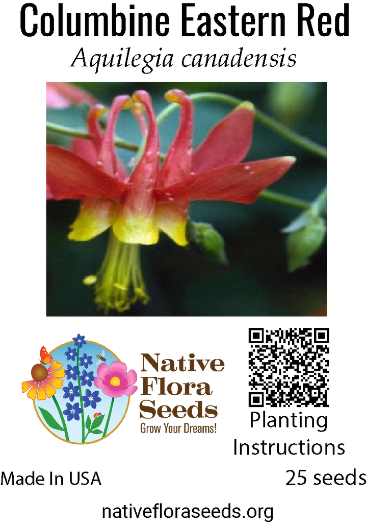 Eastern Red Columbine Seeds - Native Woodland Flower