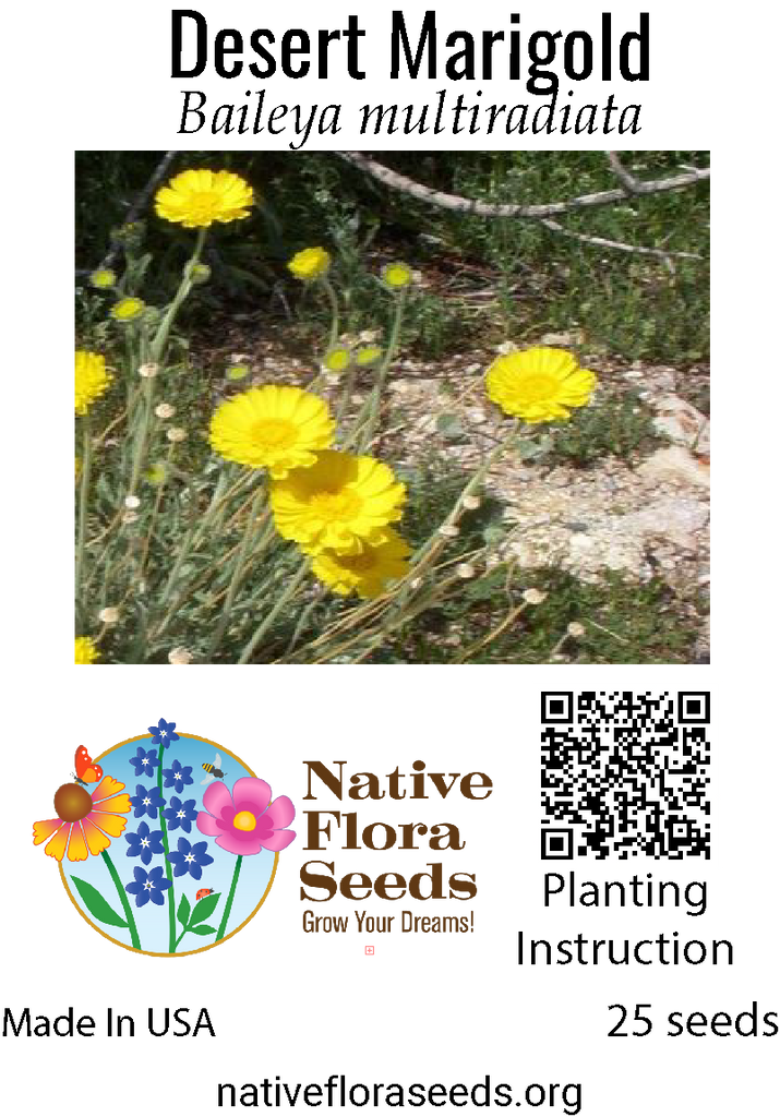desert flower seeds Desert Marigold Seeds - Drought Tolerant Southwest Native