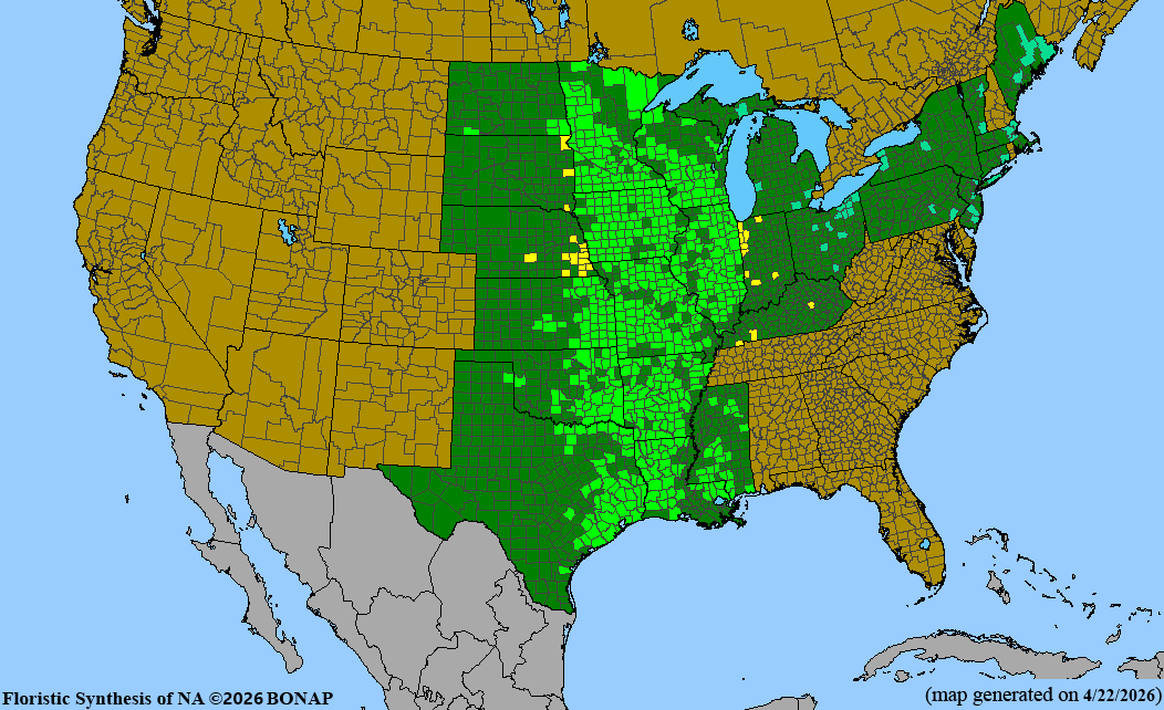 BONAP native range map for Liatris pycnostachya