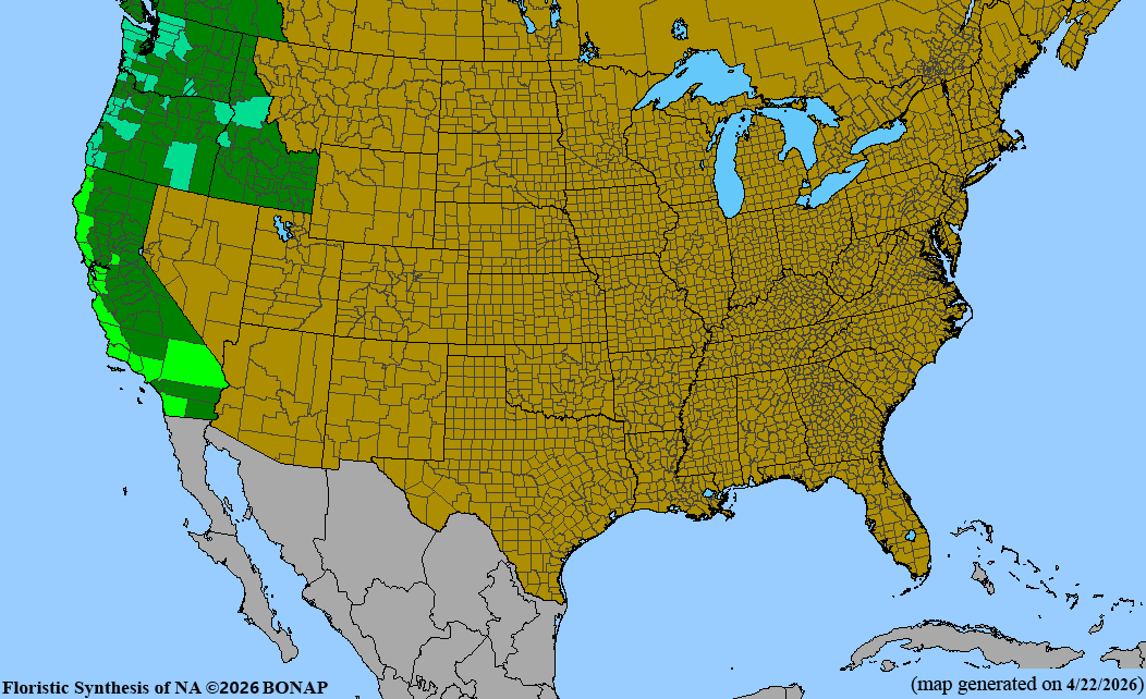 BONAP native range map for Lupinus arboreus