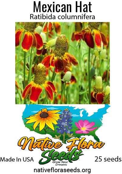 Mexican Hat – NativeFloraSeeds.org