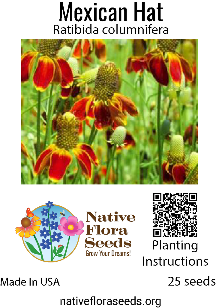 prechilling flower seeds Mexican Hat Seeds