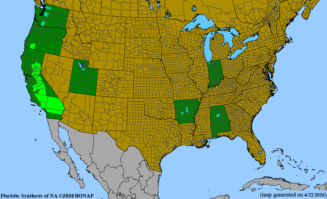BONAP native range map for Nemophila maculata