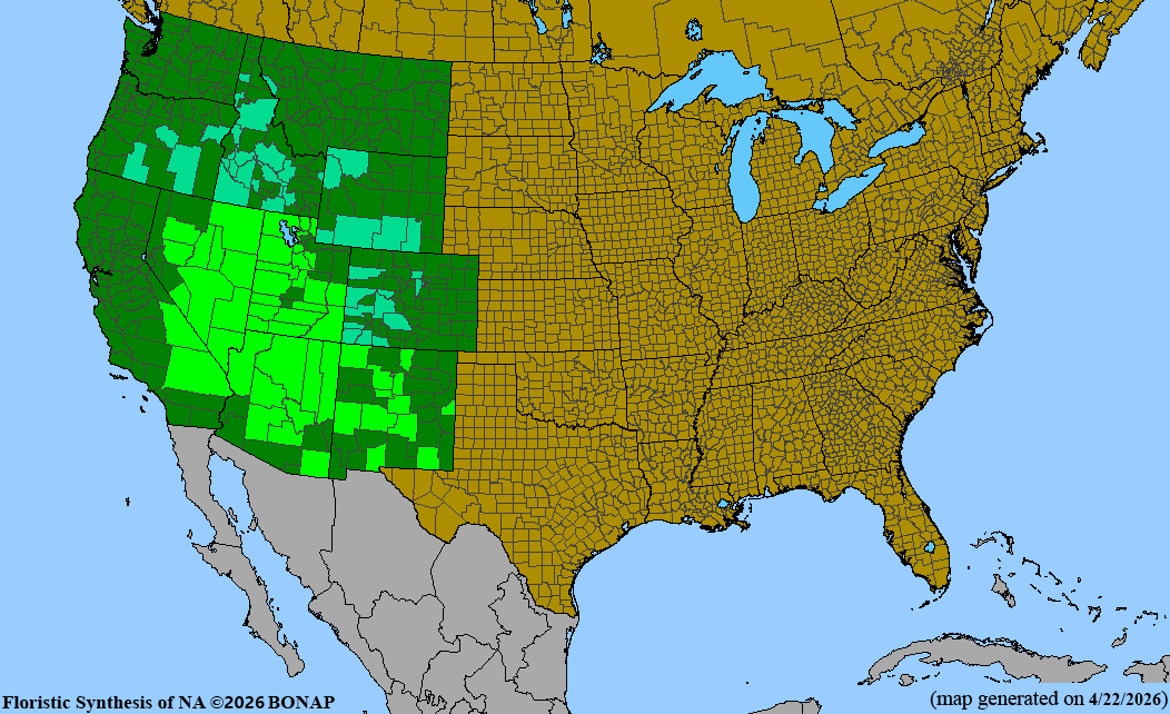 BONAP native range map for Penstemon palmeri