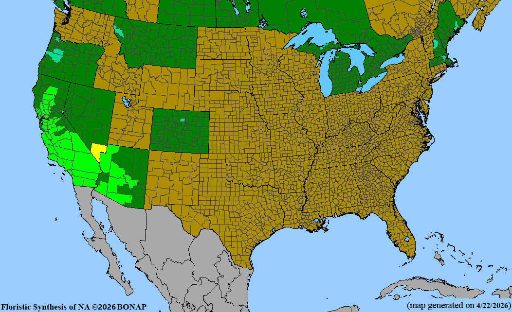 BONAP native range map for Phacelia tanacetifolia