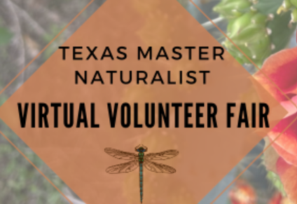 Virtual Volunteer Fair 2024