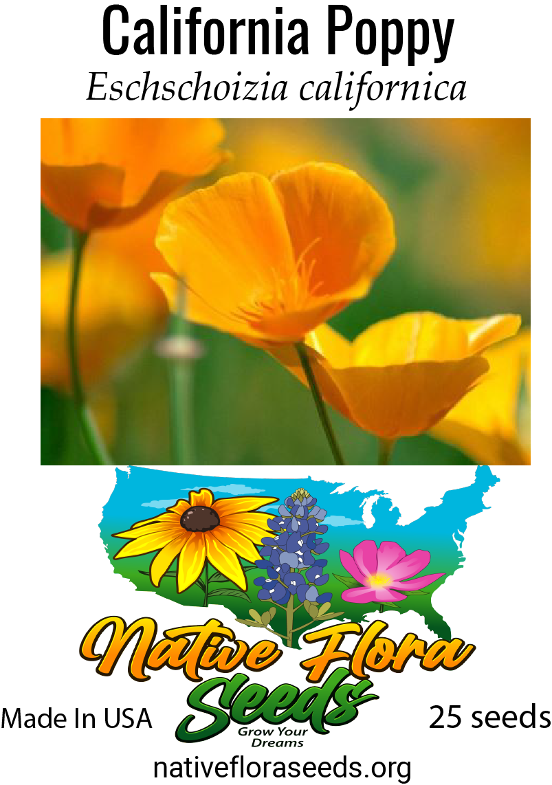Products NativeFloraSeeds Products nativefloraseeds