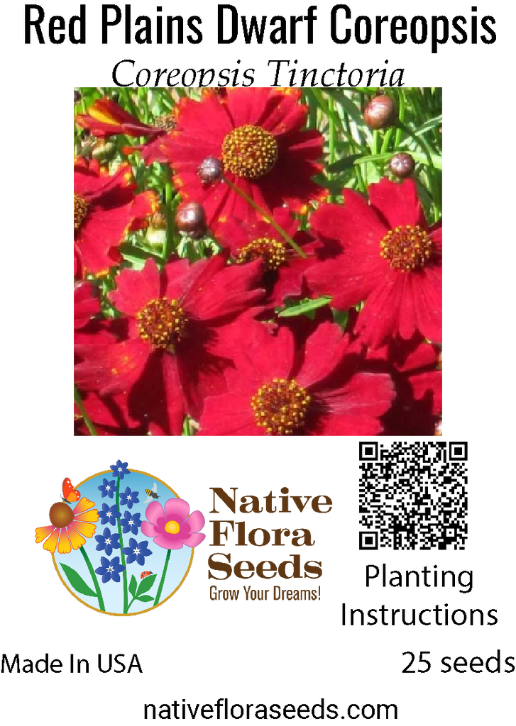 plant coreopsis seeds Red Plains Dwarf Coreopsis Seeds