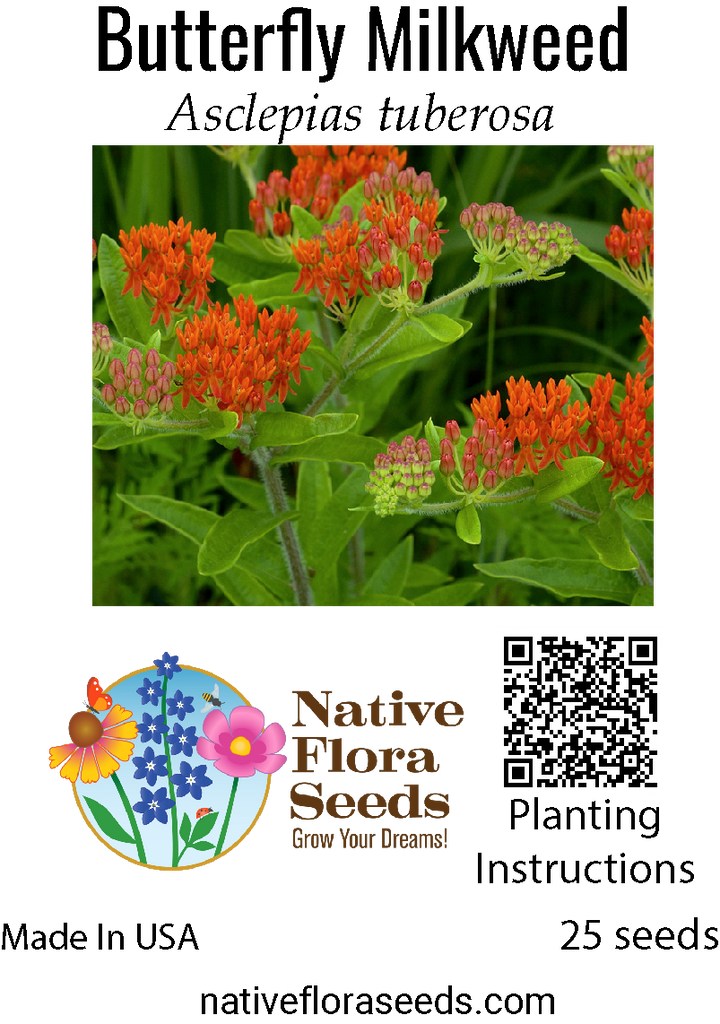 planting butterfly weed from seeds Butterfly Milkweed Seeds