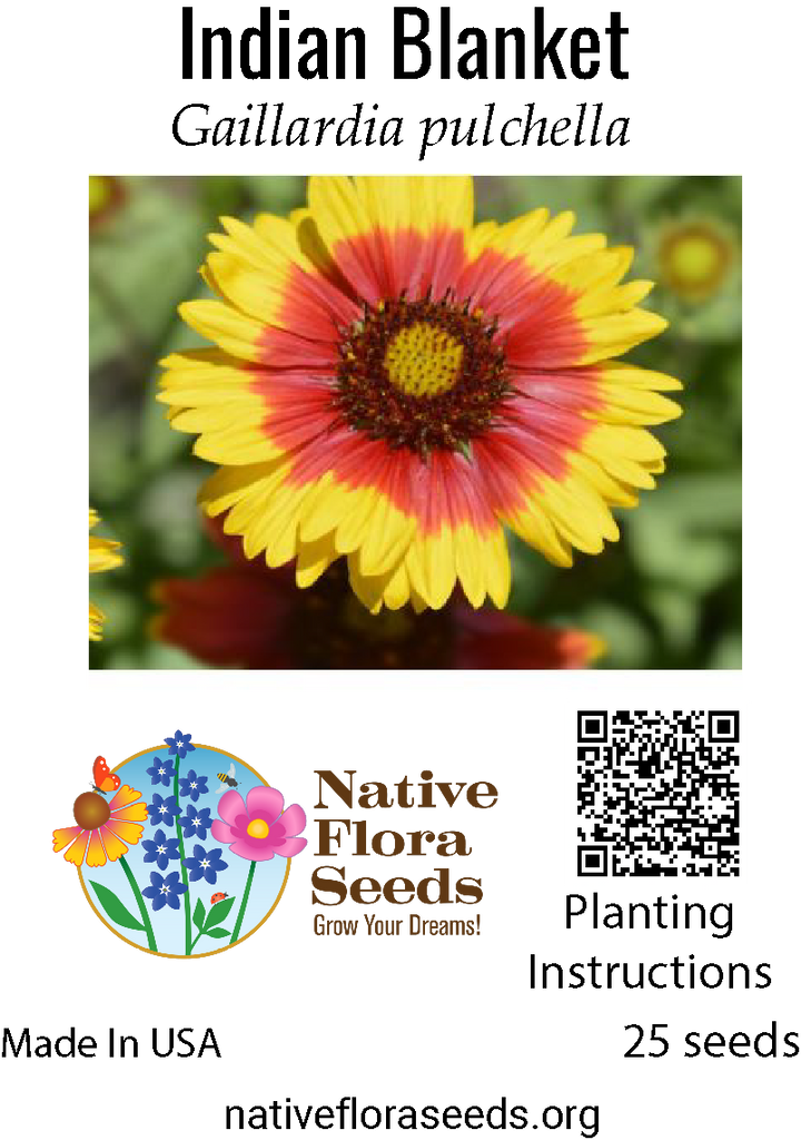 planting gaillardia seeds Indian Blanket Seeds - Native Firewheel Wildflower