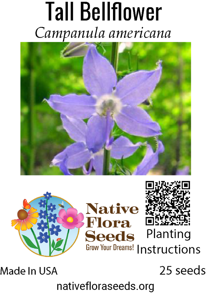 bell flower seeds Tall Bellflower Seeds - Native Campanula Americana