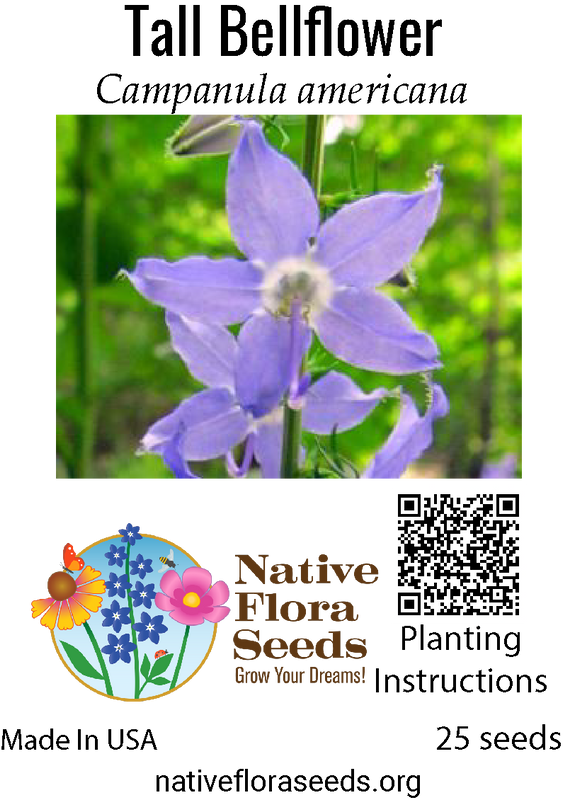 Tall Bellflower Seeds - Native Campanula Americana with Star-Shaped Blue Flowers