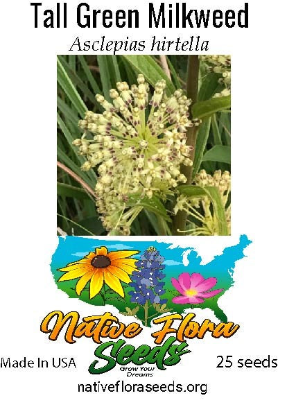 Tall Green Milkweed