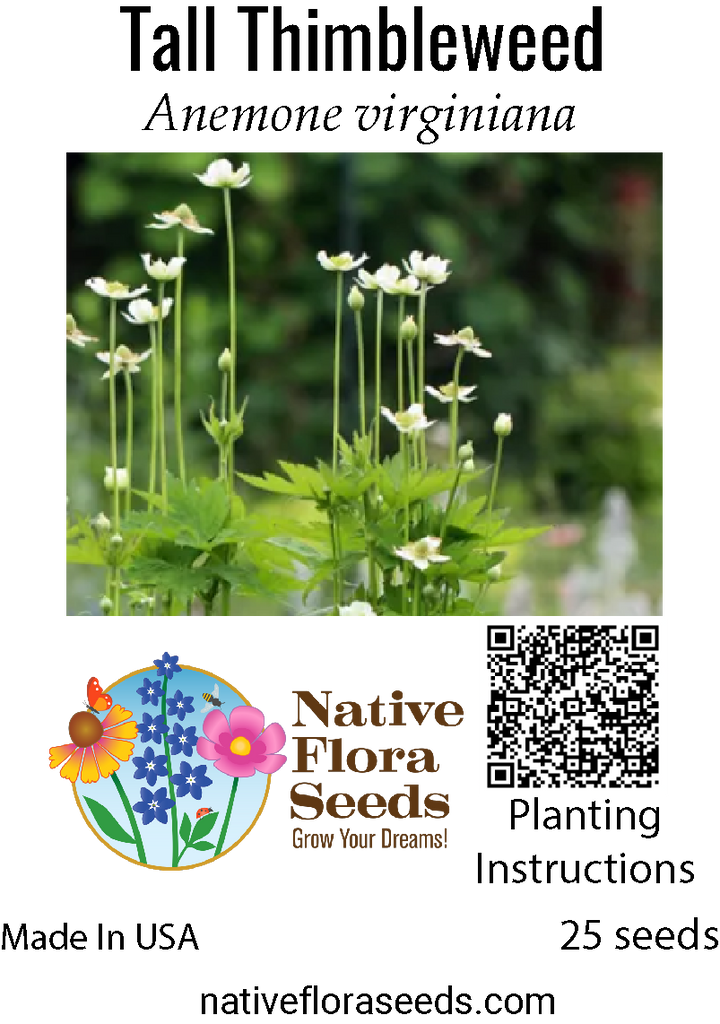 where to buy native plant seeds Tall Thimbleweed