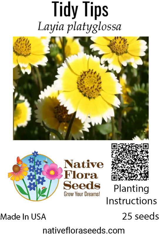 Tidy Tips Seeds - Layia platyglossa - Native California Wildflower
