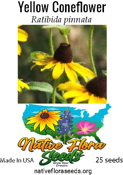Flower Name Common and Scientific