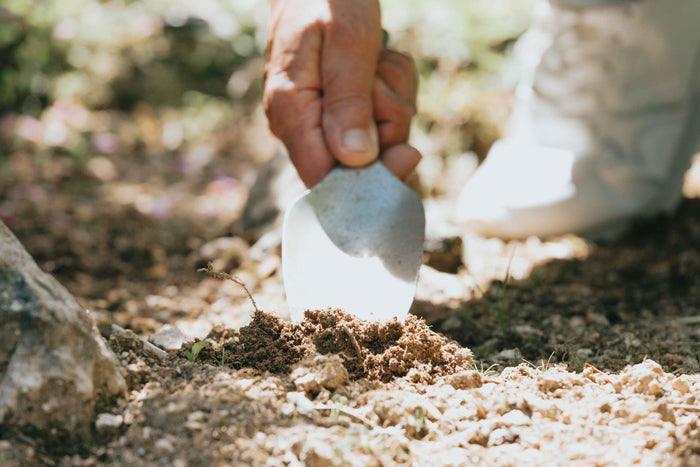 Fall Planting