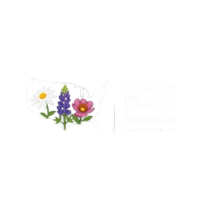 PNG Logo
